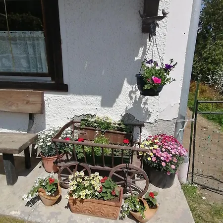 Riedbach In Mutters *